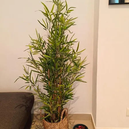 L'etoile Petillante Appartement *